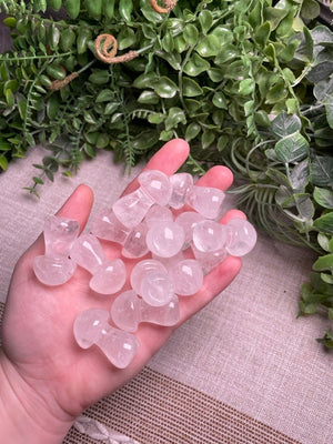 Crystal Mushroom