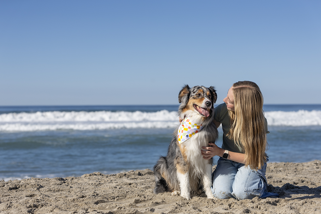 Popsicle Dog Reversible Bandana