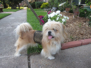 Doggy Holster Small Dog Harness (Made in USA)