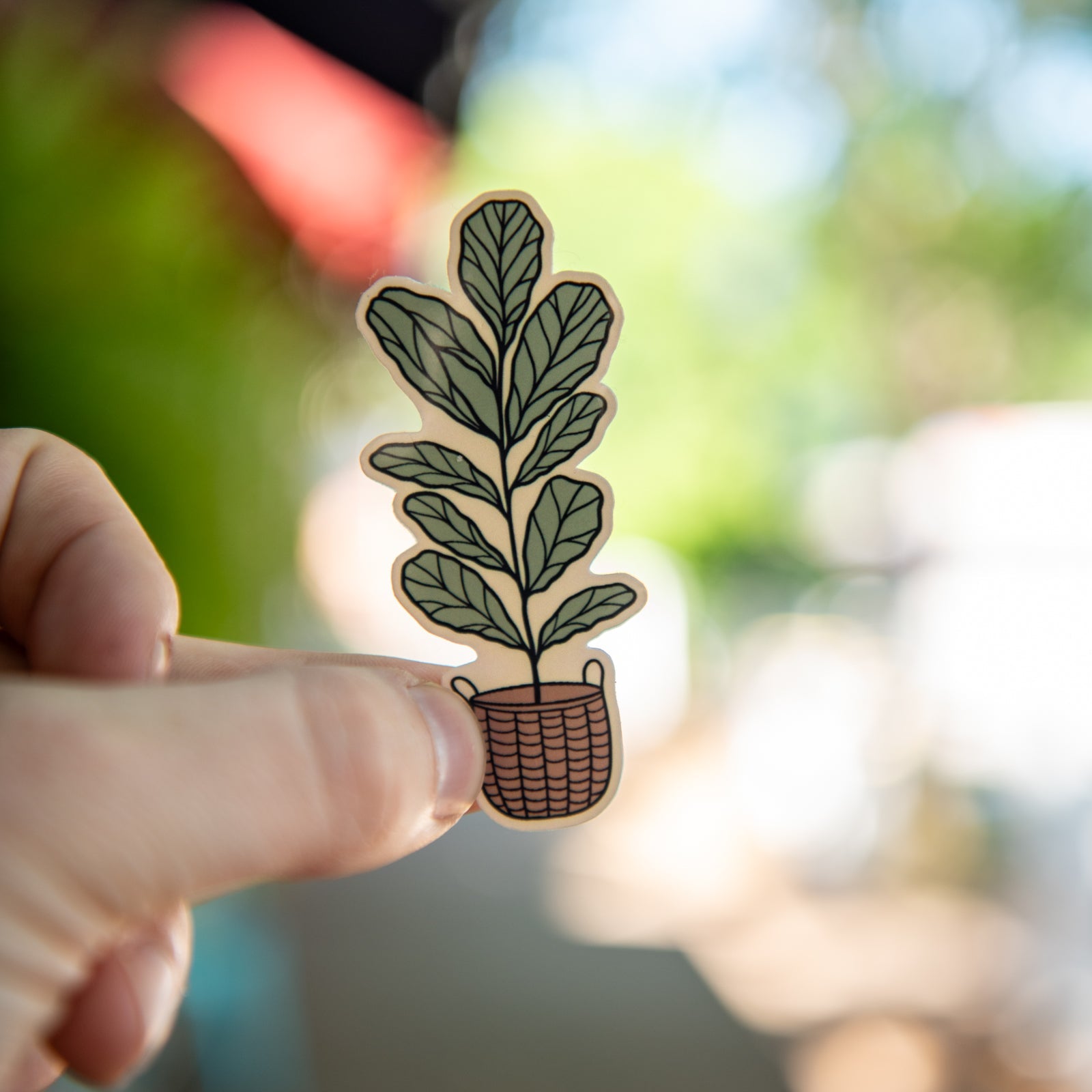 Fiddle Leaf Fig- Sticker by Still Magnolia, vinyl decal main product photo