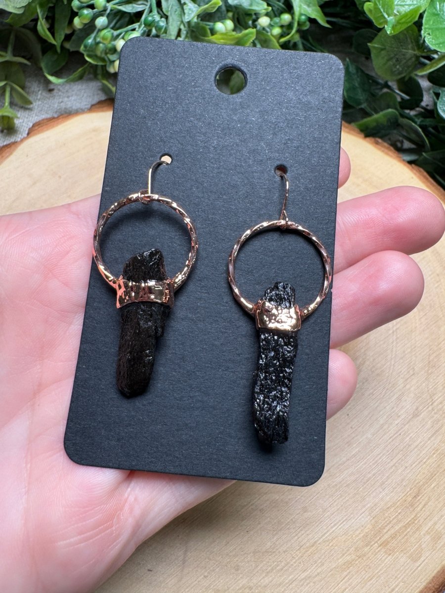 Fossilized Bone Earrings