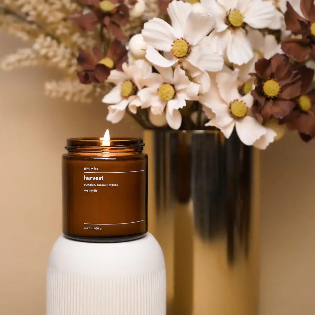 Harvest soy candle with pumpkin, coconut, and woods scent in amber glass.