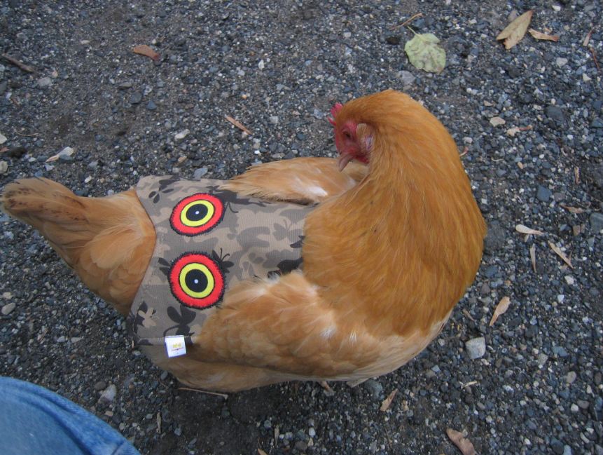 Hen Saver Chicken Saddle for Hens (Made in USA Hen Apron)