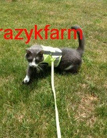 Holster Leash (Made in USA)
