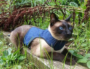 Kitty Holster Cat Harness (Made in USA)