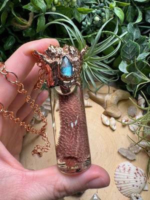 Labradorite, Barnacles, and Starfish Arm Oddity Vial Necklace