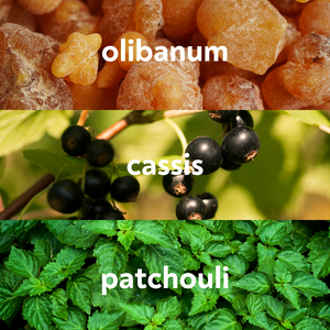 Lucid Eau de Parfum by Lucid Coast Co. product image 2