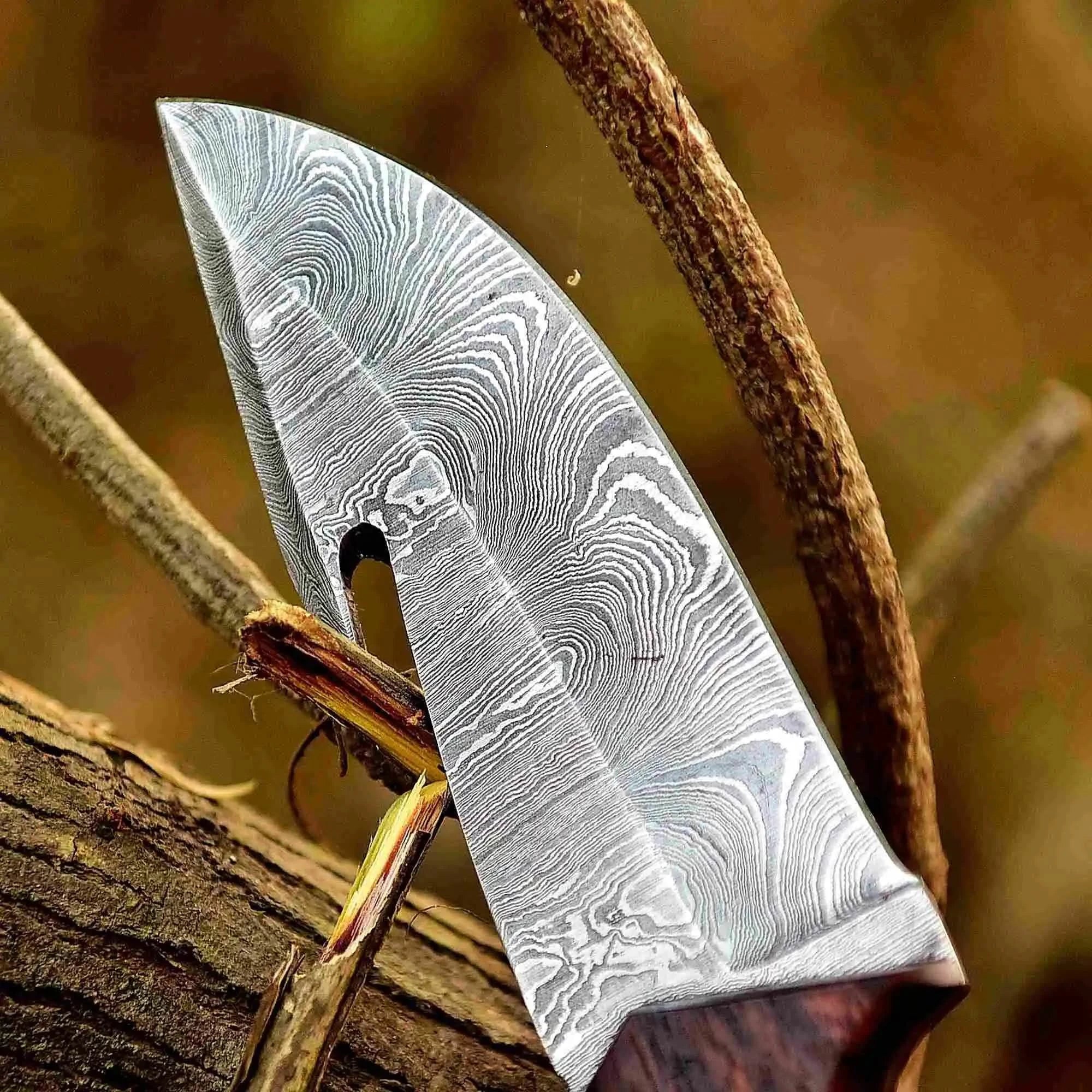 Damascus Gut Hook Hunting Knife — Bone, Turquoise Resin & Rosewood Handle by JW SteelCrafts, Damascus knife detail photo 2