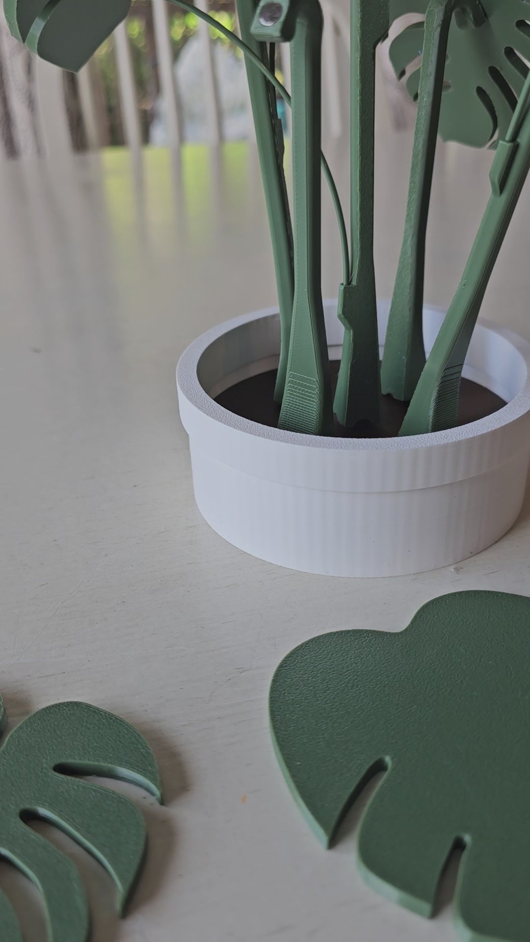 The Tween Space Monstera Coaster Set — Tropical Leaf Coasters with Display Holder | 3D Printed by The Tween Space, Southern home decor main product photo