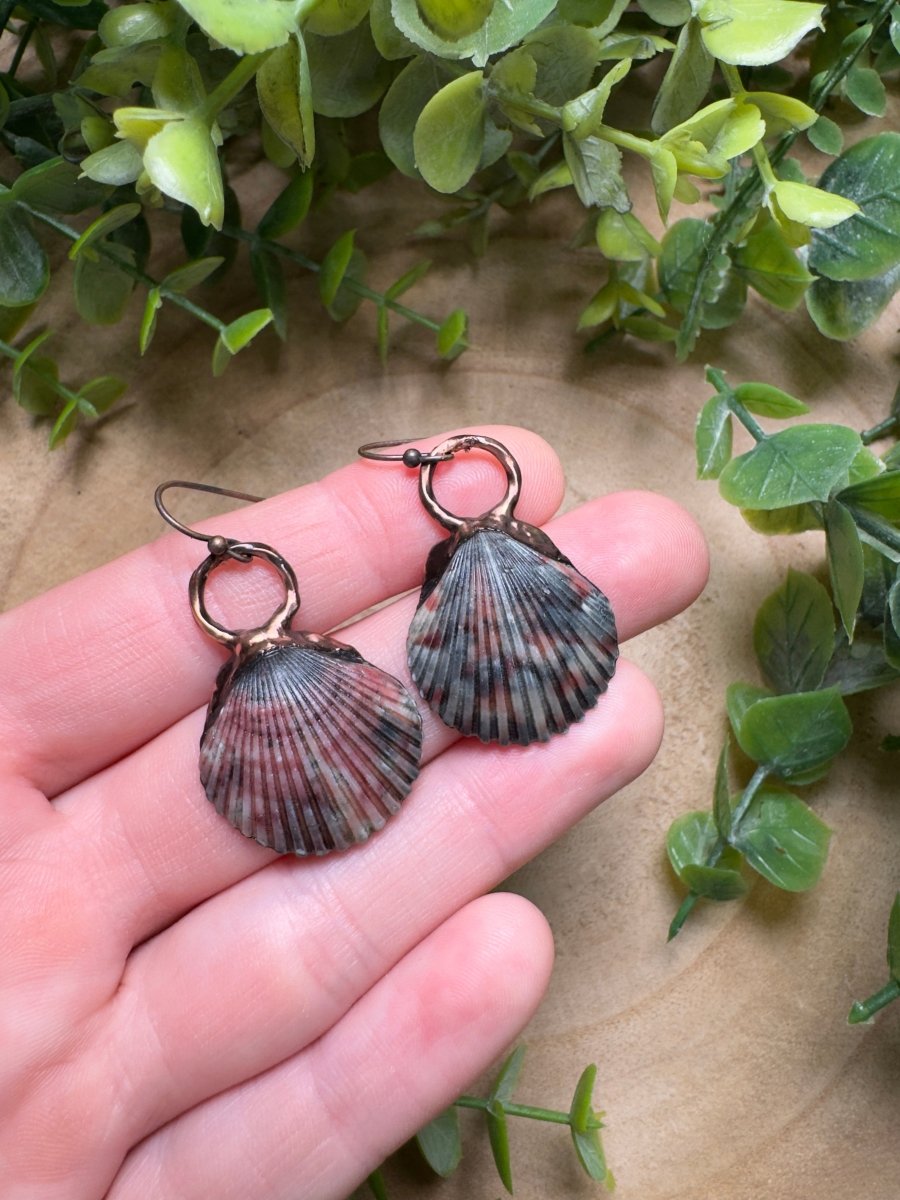Scallop Shell Earrings